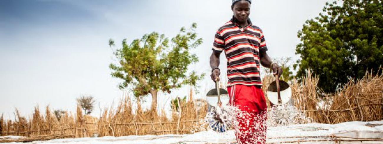 “Stromen levend water leg ik voor u aan in de woestijn.” (Jesaja 43) In Senegal vechten kleine boeren tegen de droogte. Met de hulp van Broederlijk Delen.  © Broederlijk Delen, Thomas De Boever