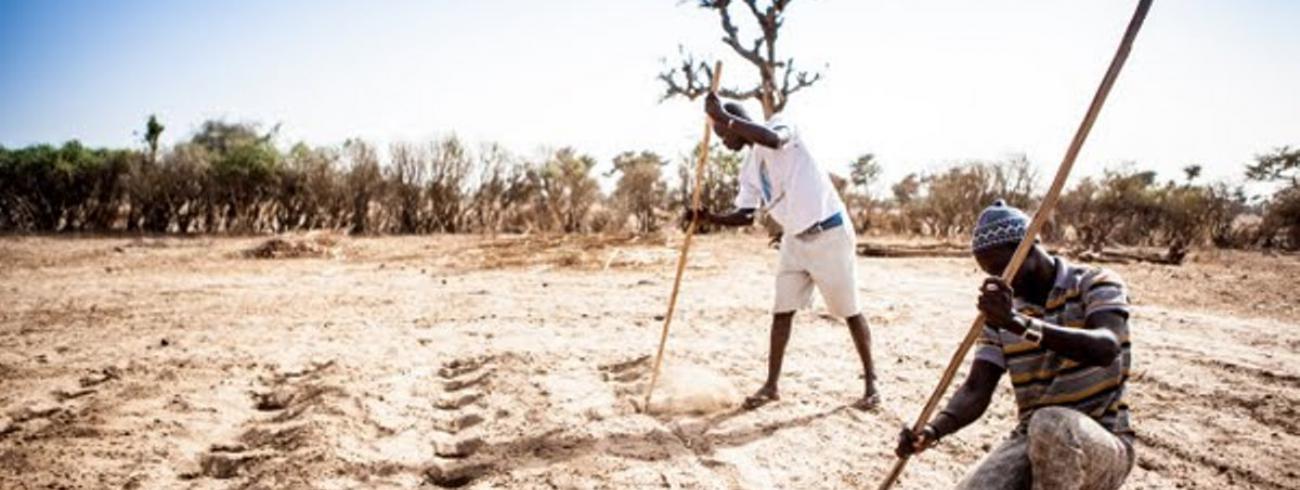 In Senegal vechten kleine boeren voor hun familiale landbouw en tegen de droogte. Met de hulp van Broederlijk Delen. © Broederlijk Delen