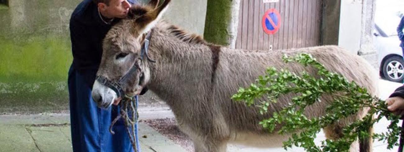 Een broeder van Tiberiade doet aan verkondiging in gezelschap van zijn ezel. © Koen Van den Bossche