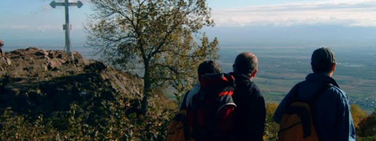 De weg kennen, waar aarde en hemel in elkaar overvloeien, is liefdevol leven. © Danny Maenhaut