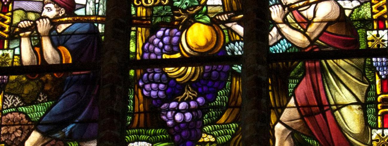 Druivenstok met ranken - Sint-Bartholomeuskerk Kortemark © Pastorale Eenheid O.L.V. Krekedal Kortemark