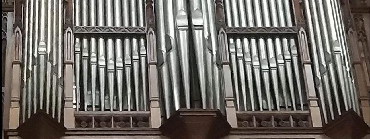 Het historisch Stahlhut-orgel in de Sint-Martinusbasiliek te Halle, gerestaureerd door Schumacher. 