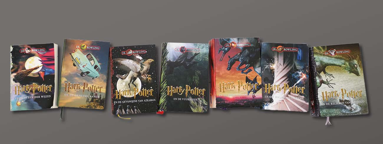 De regel van Harry Potter: 9 wijze lessen voor het leven 
