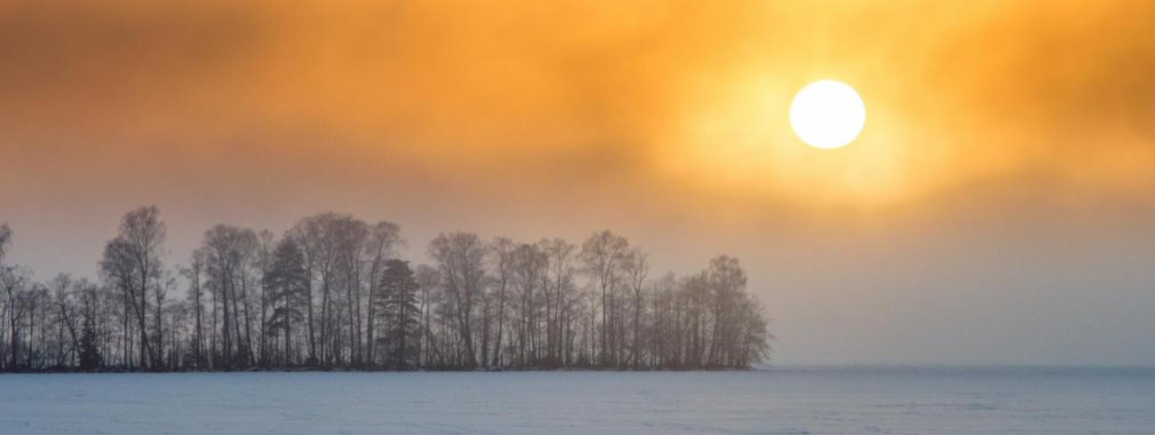 Inspiratie op woensdag 