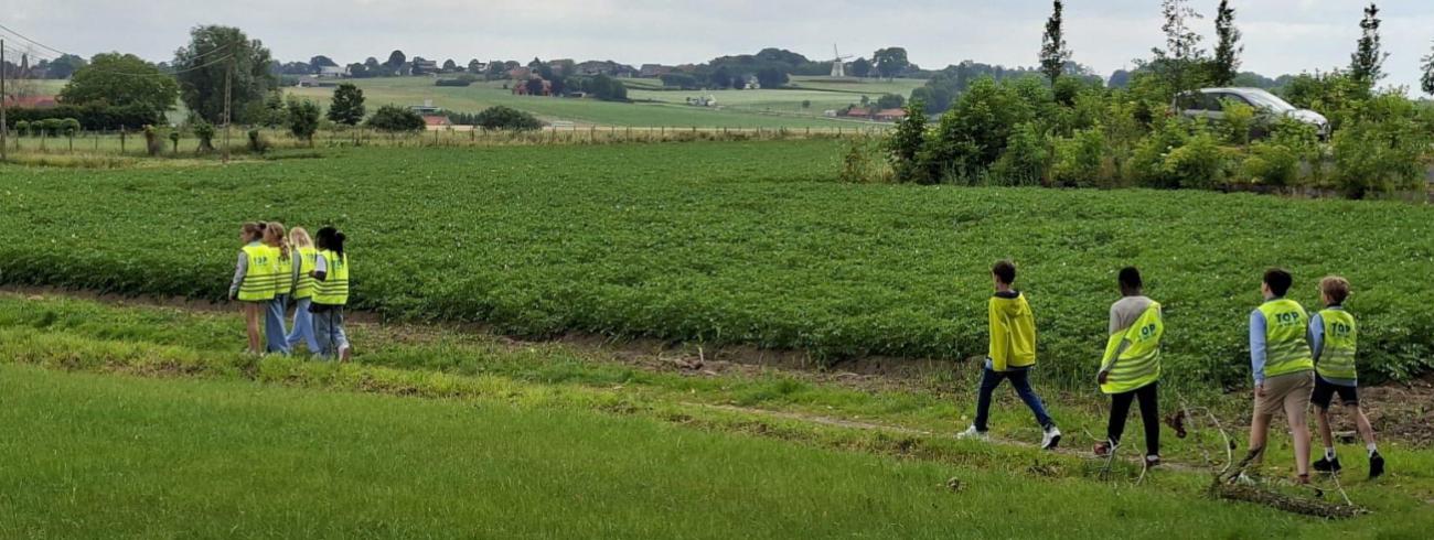 GBS Het Wijsternest Ingooigem trok op pad zoals pelgrims naar Compostella. 