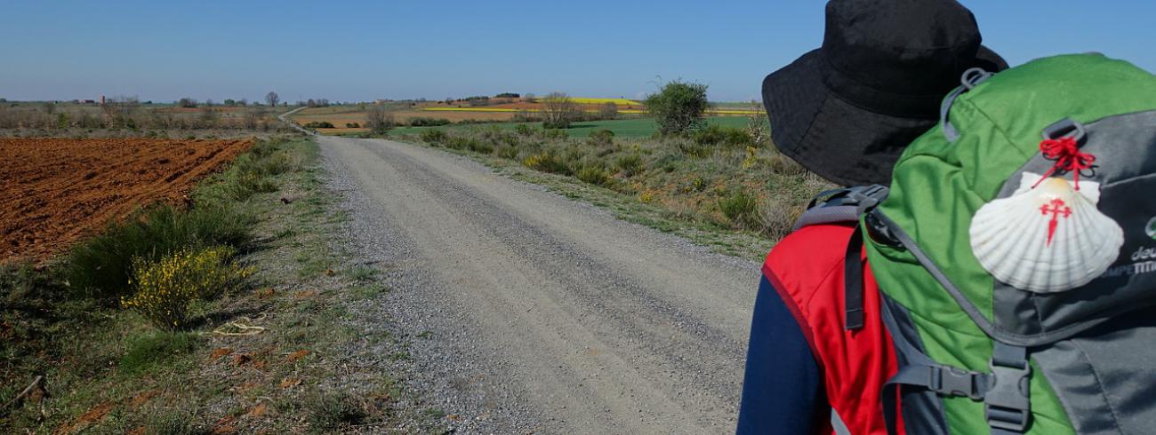 Jakobsweg © pixabay