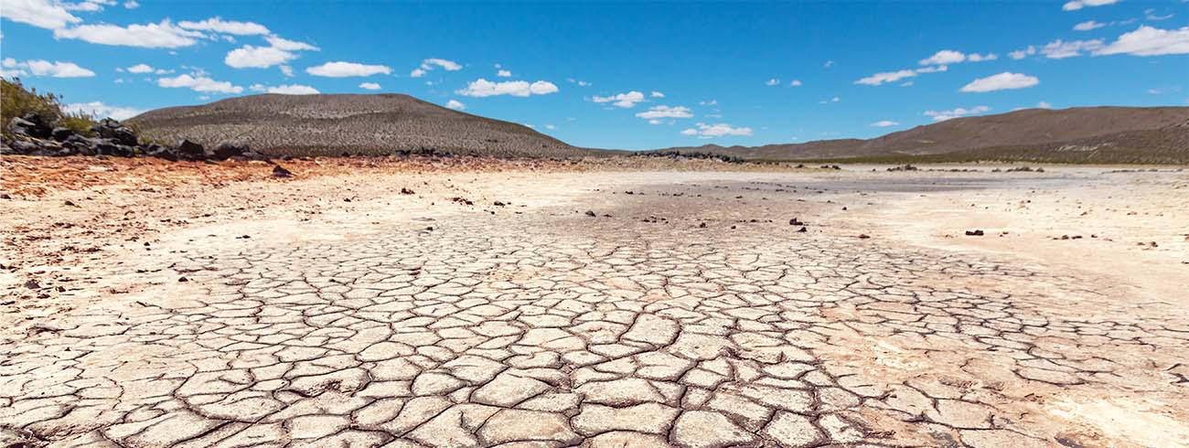 Dringend samenwerking nodig tegen klimaatverandering, zegt paus 