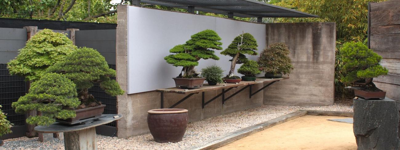 De kerk als bonsai © Luis Vallejo