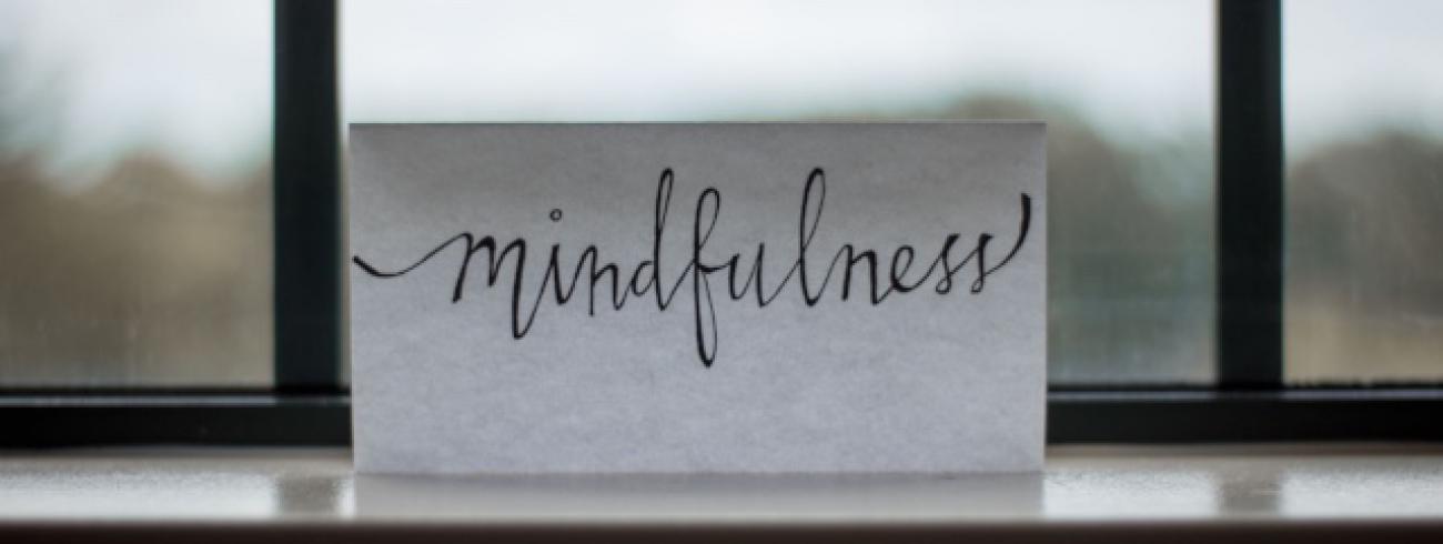 mindfulness © igniswebmagazine.nl