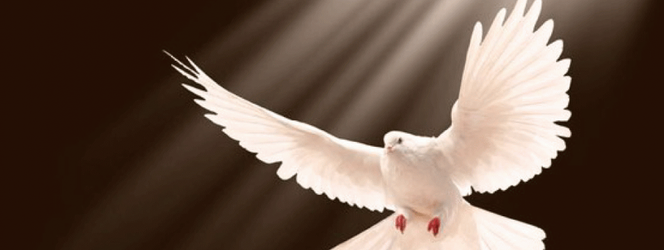 Heilige Geest © Alliance World Fellowship