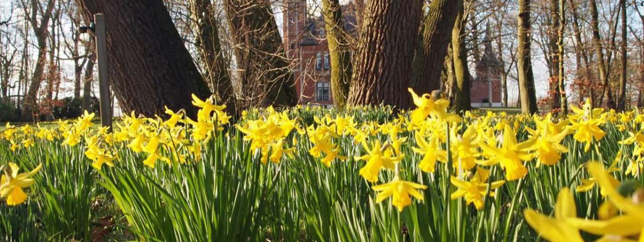 Goede week in Gentbrugge en Sint-Amandsberg 