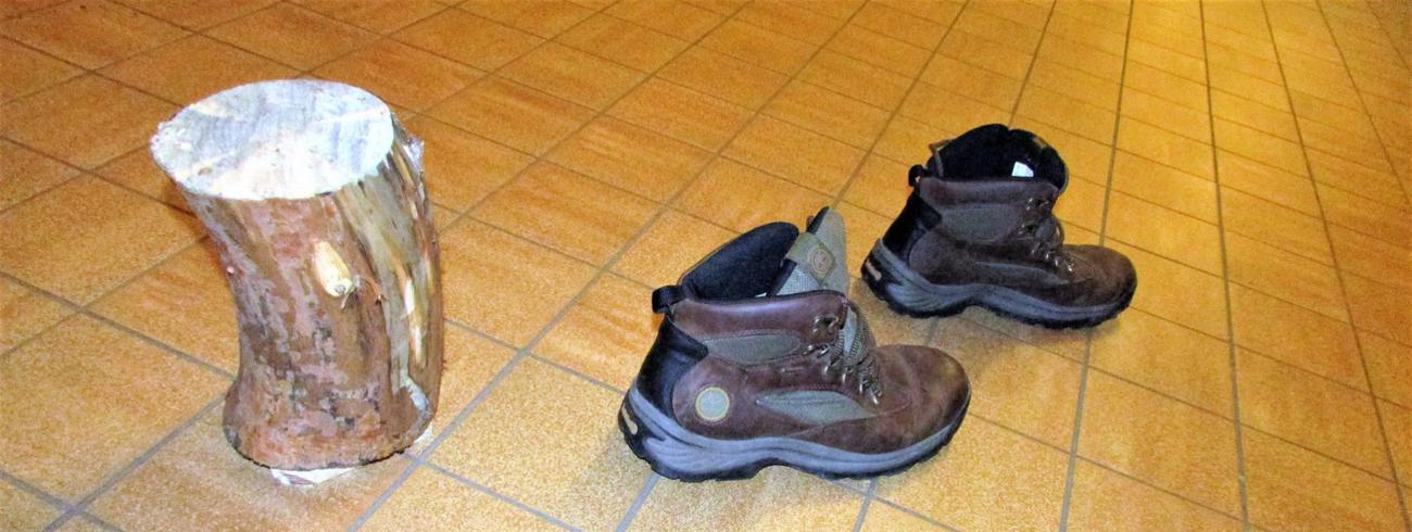 Stapschoenen 2025