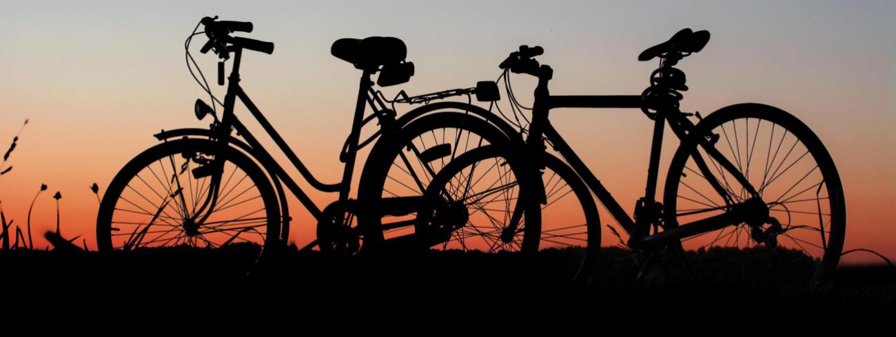 'De bezoekende gezinnen hebben weinig keuze: ze komen er om te fietsen.' © Pexels