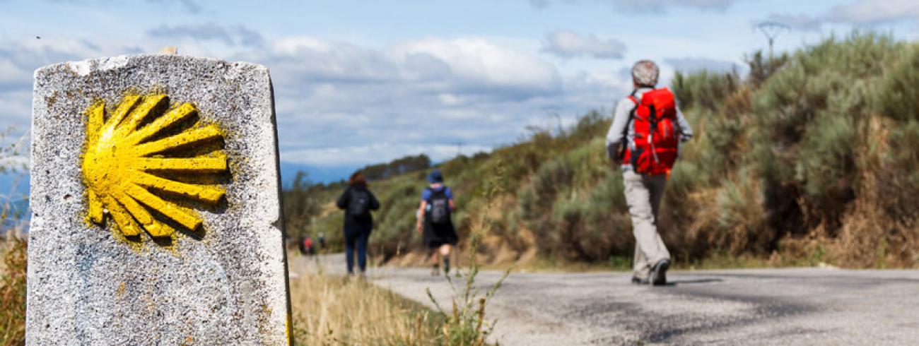 camino 