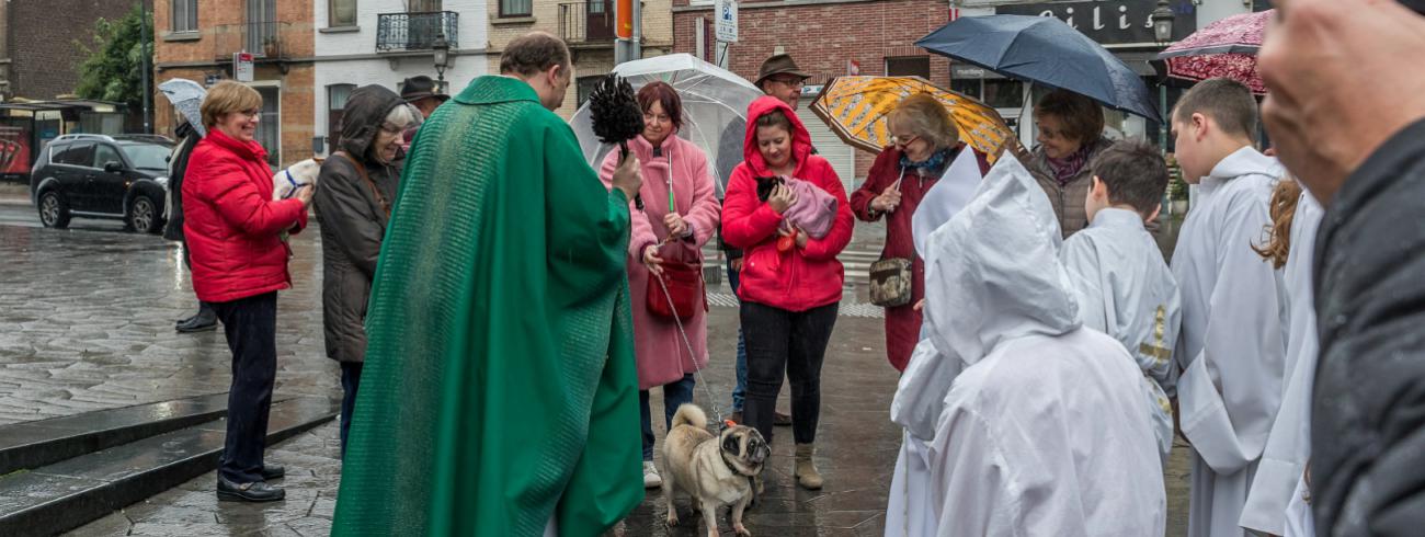 8e Sint Hubertus dierenzegening 2019 © Francis Gerits