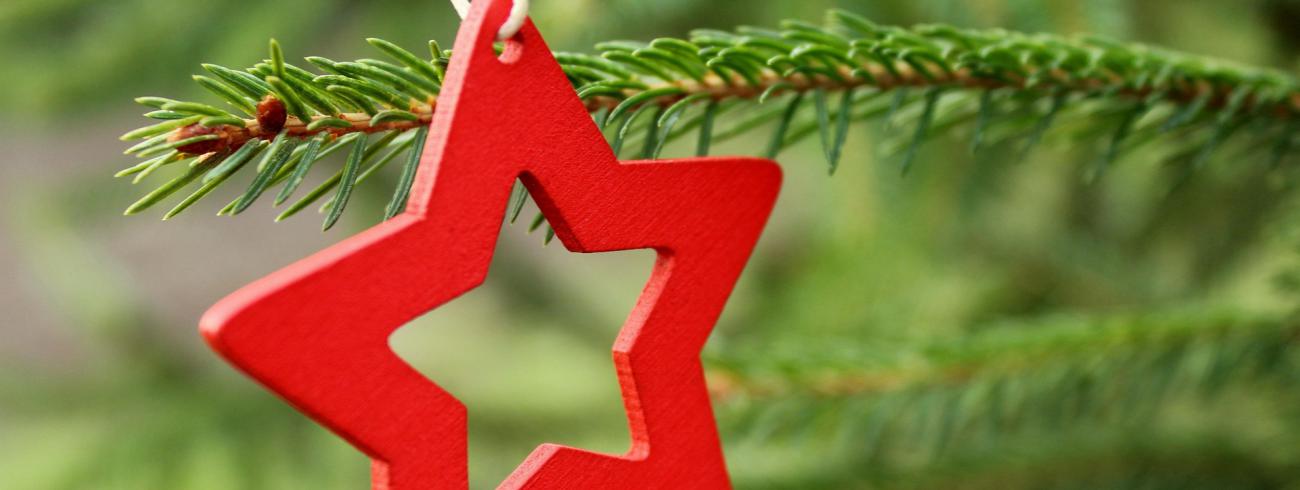 Kerstster aan de dennenboom © Pixabay