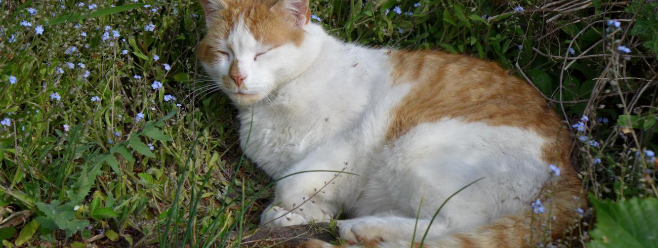 LAAT IETS VAN GOD ACHTER WAAR JE KOMT! © Peter Engelbert