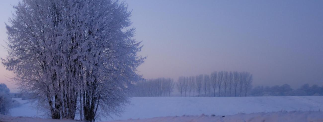 Sneeuwlandschap 