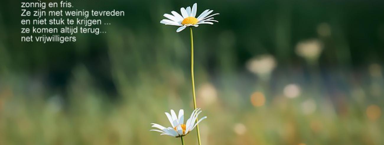 parochie Geraardsbergen 