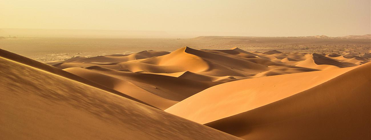 Dune 