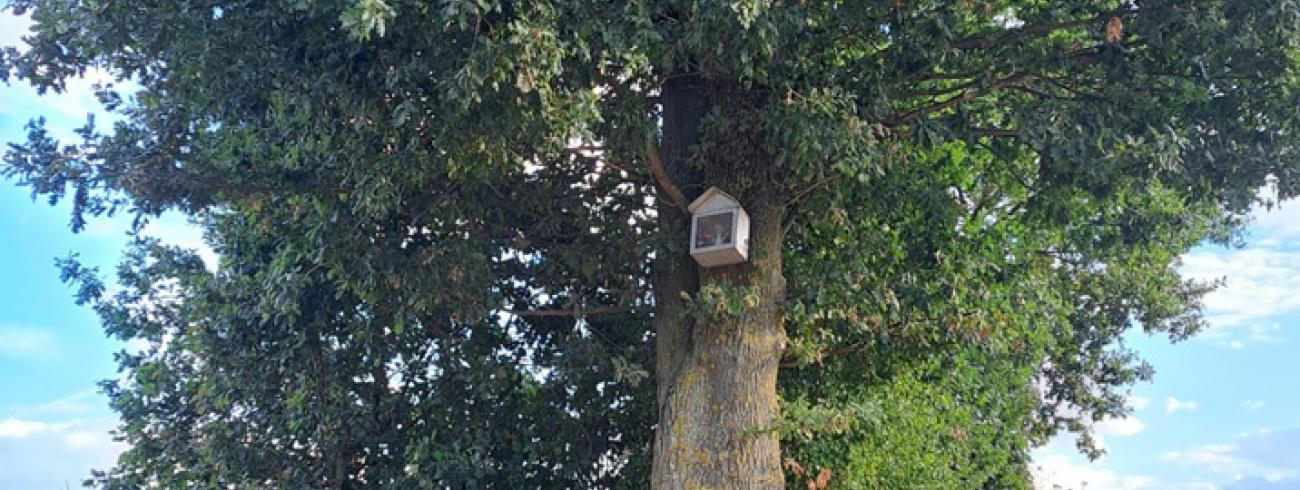 Op kapellekestour 