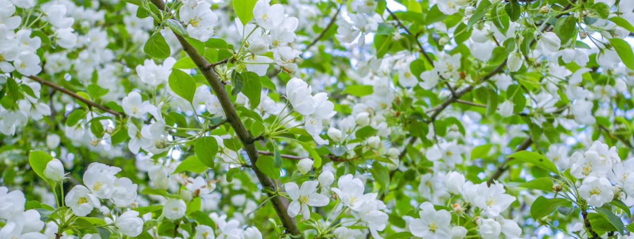 Inspiratie op woensdag 