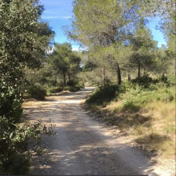 De eenzaamheid in de norbertijnenabdij in de Provence werd Christophe Monsieur bijna teveel. © Schermafbeelding uit video 'Wandeling met een hond'