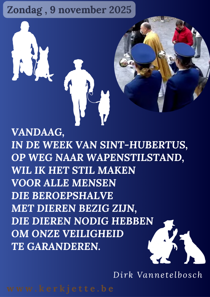  Zondag, 9 november 2025_20251110_013409_0000.png © elsbieta Krzyska