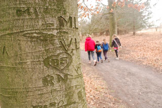 Door te stappen verlaagt je tempo naar een nieuw evenwicht, dat je toelaat te genieten van de natuur. © Patrick Dieleman