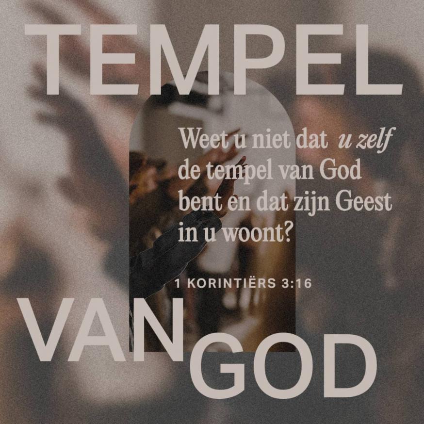 www.bible.com 