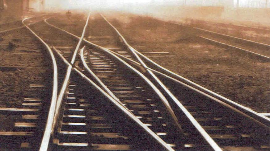 10e Zondag door het Jaar - zondag 11 juni 2023 © Alexander Vandaele