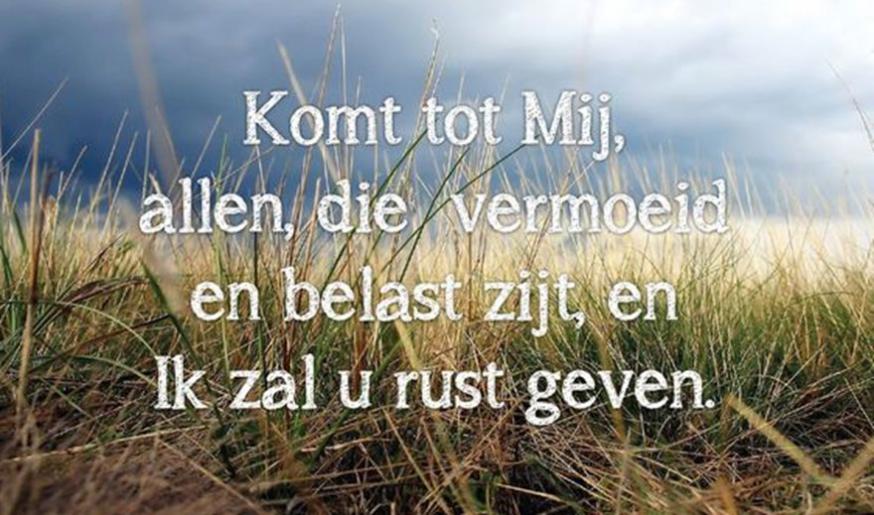 14e Zondag door het Jaar - zondag 9 juli 2023 © Alexander Vandaele