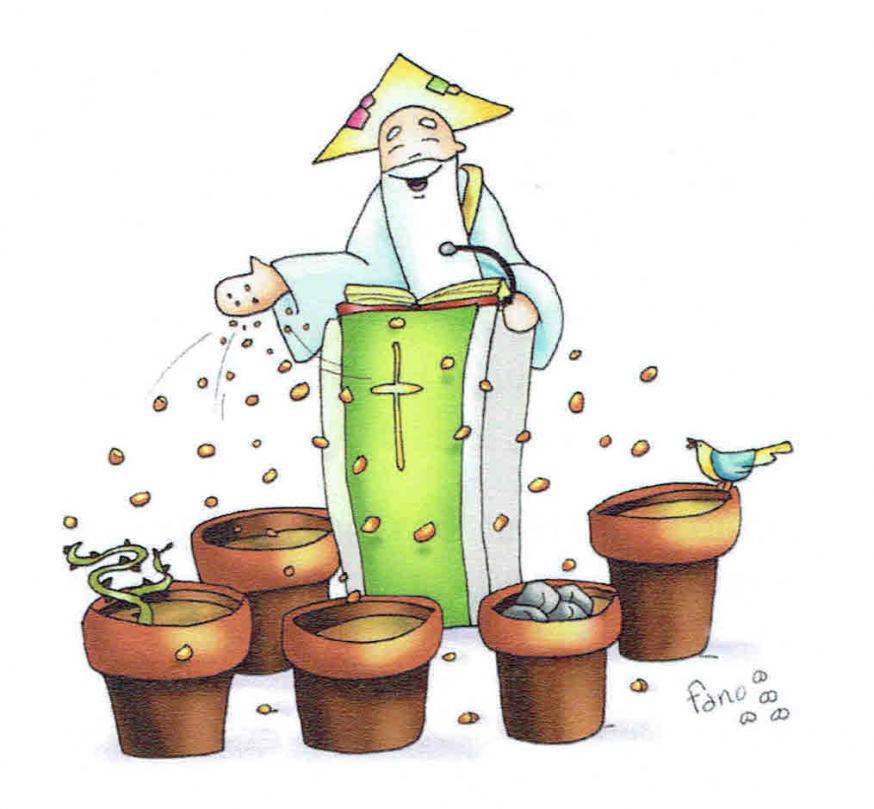15e Zondag door het Jaar - zondag 16 juli 2023 © Alexander Vandaele