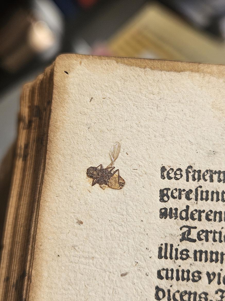 Een vliegende start, maar het einde kwam hard © Bibliotheek Grootseminarie