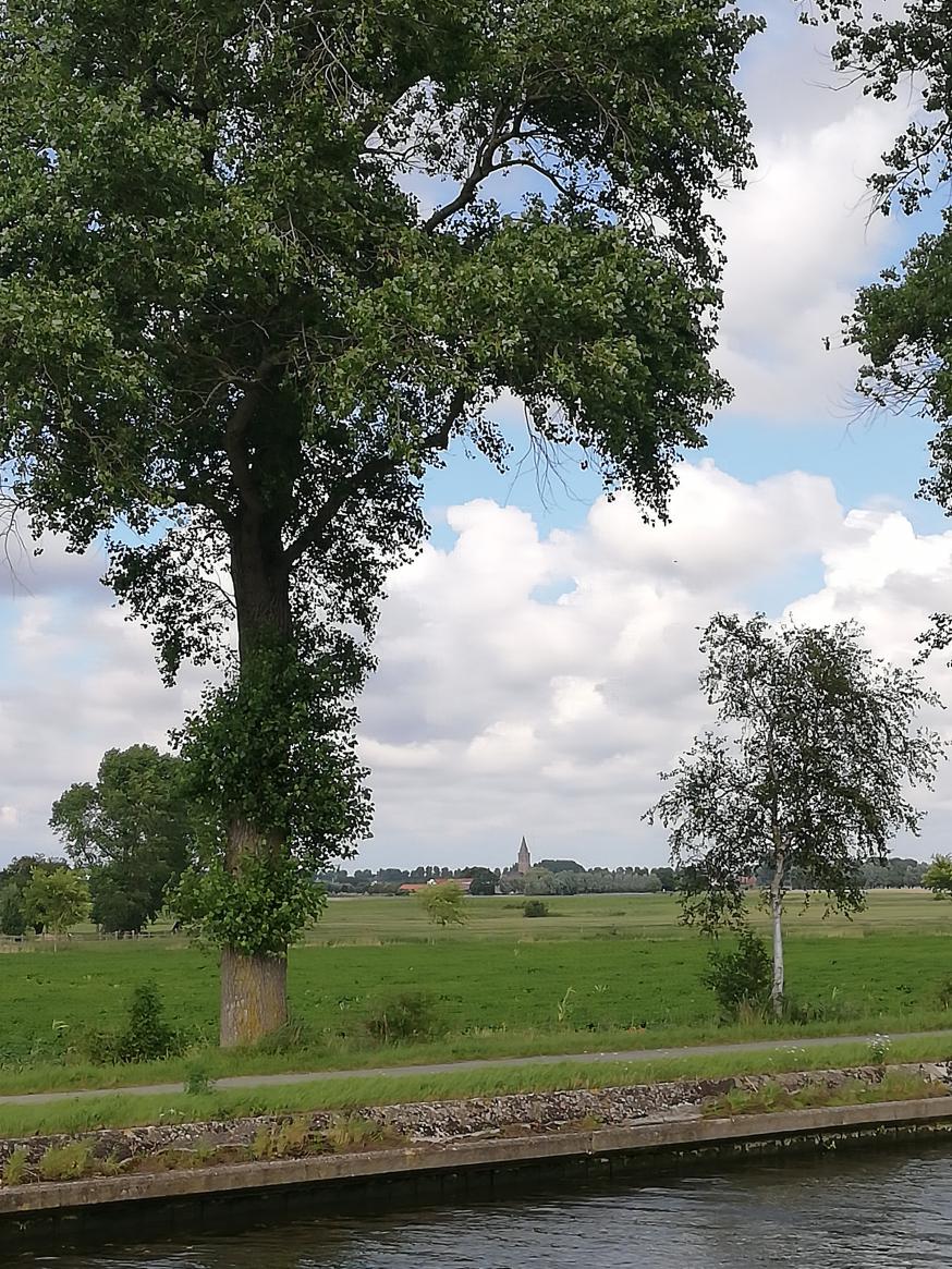 Een foto van het natuurgebied Kwetshage 