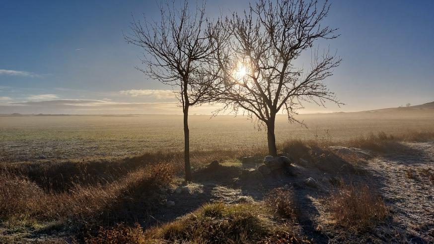 Op weg naar Hontanas 3 © LG