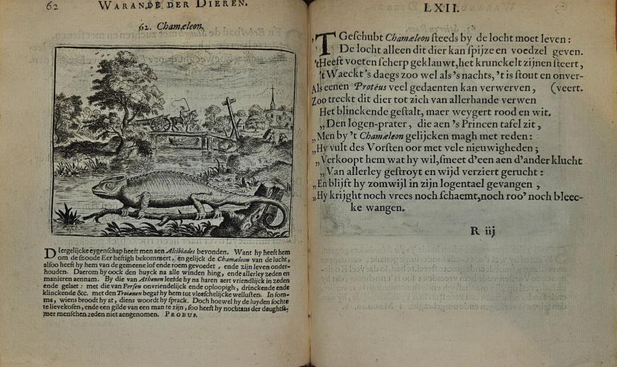 Fabel met kameleon 