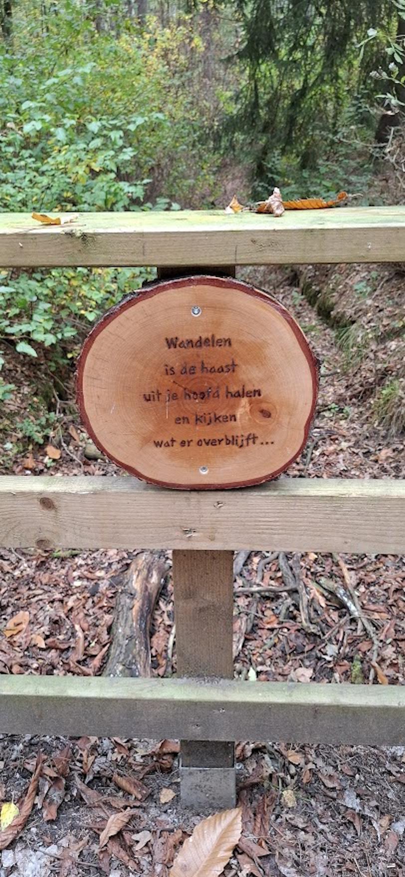 Familiewandeling met de vormelingen. © Werner Mertens.