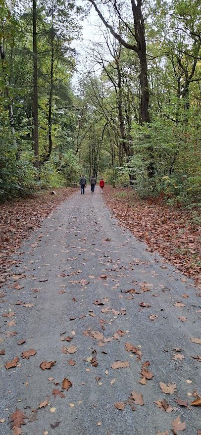 Familiewandeling met de vormelingen. © Werner Mertens.