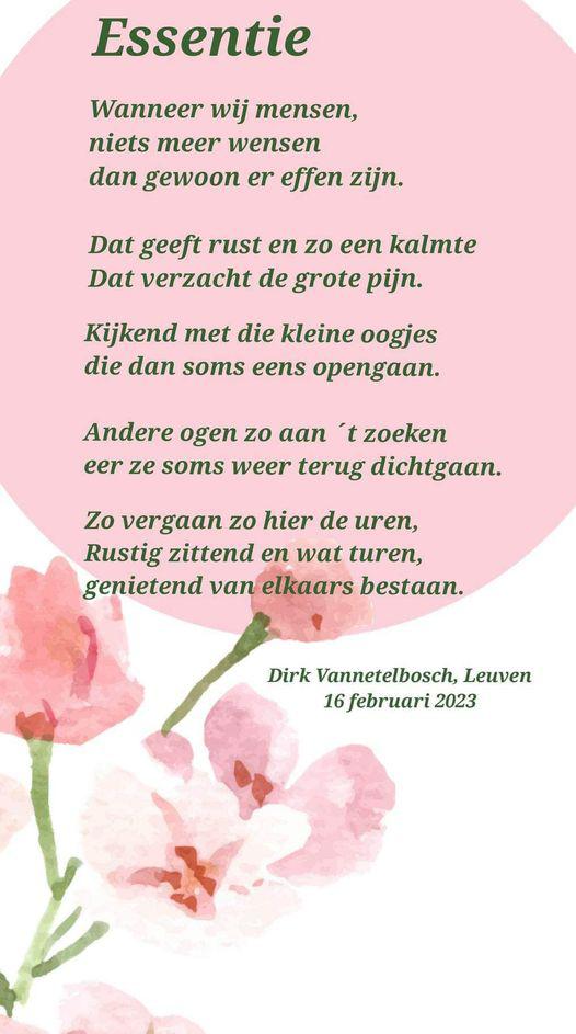 gedicht Essentie  © Dirk Vanetelbosch 