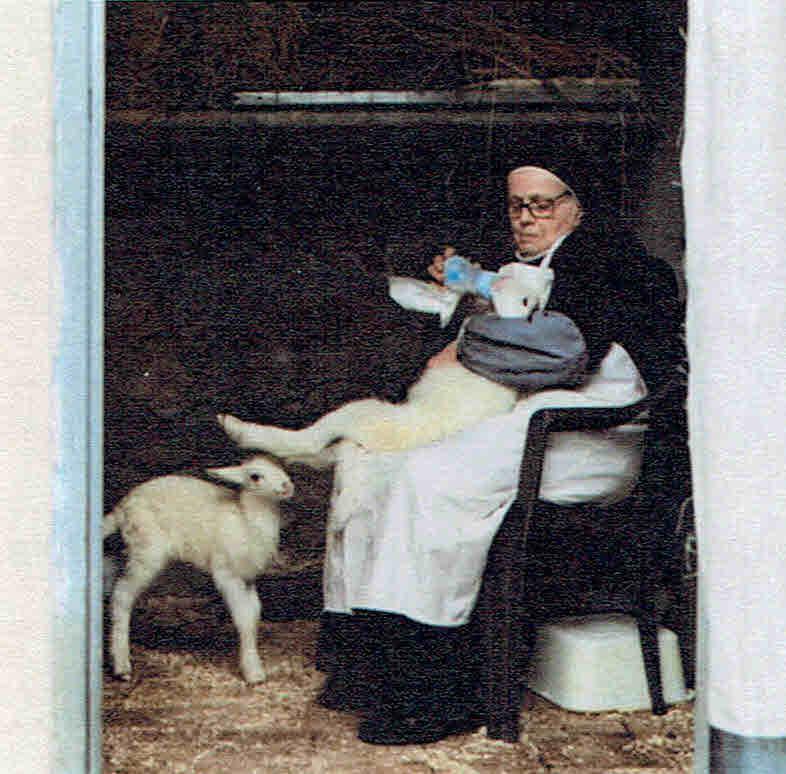 4e Paaszondag  - zondag 26 april 2026 © Alexander Vandaele