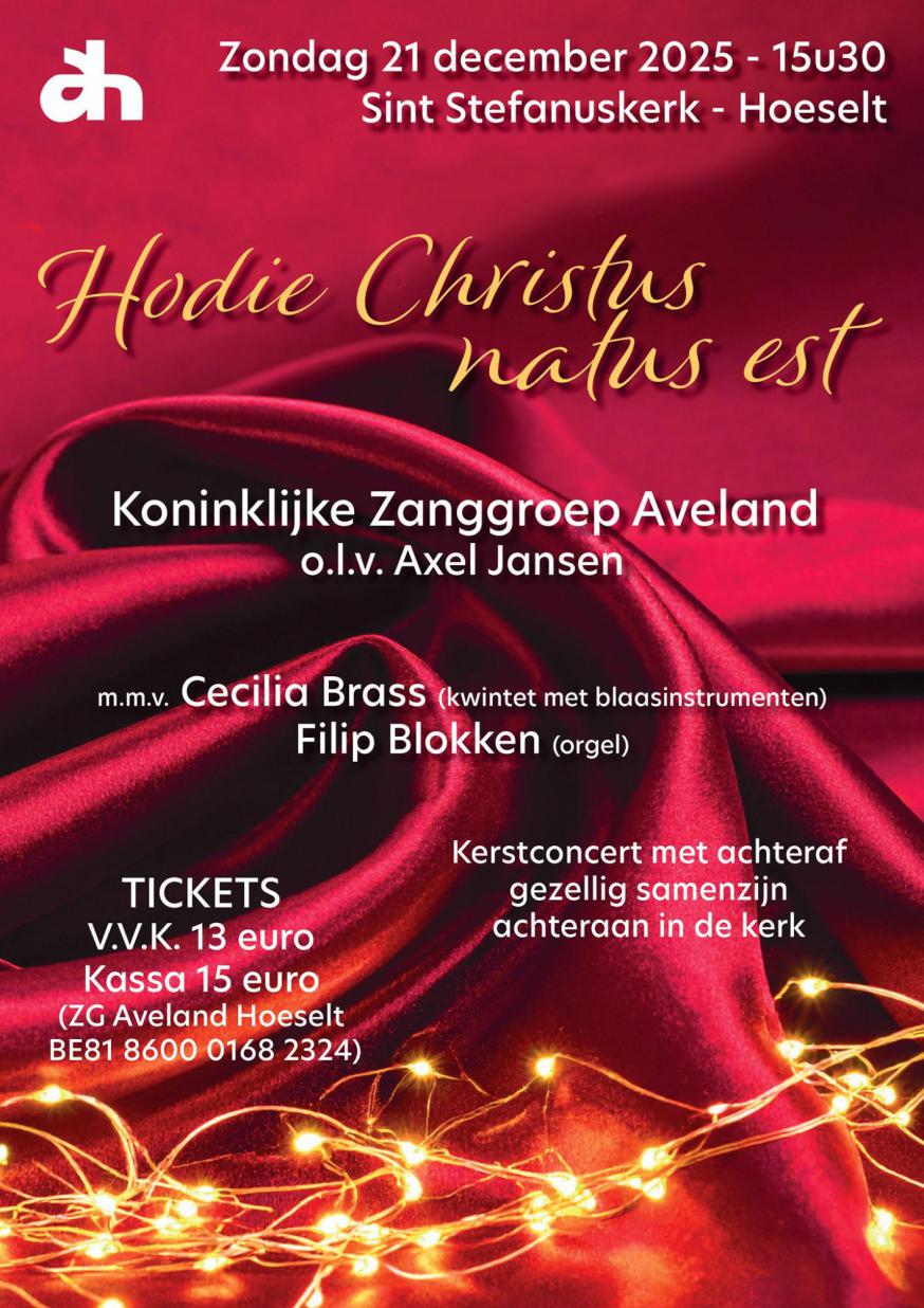 Kerstconcert © Aveland