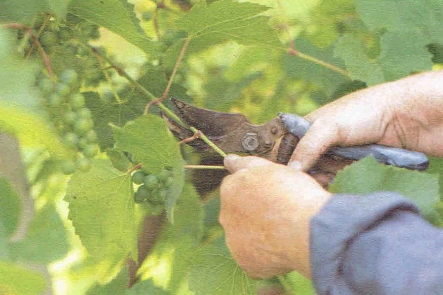 5e Paaszondag - zondag 28 april 2024 © Alexander Vandaele