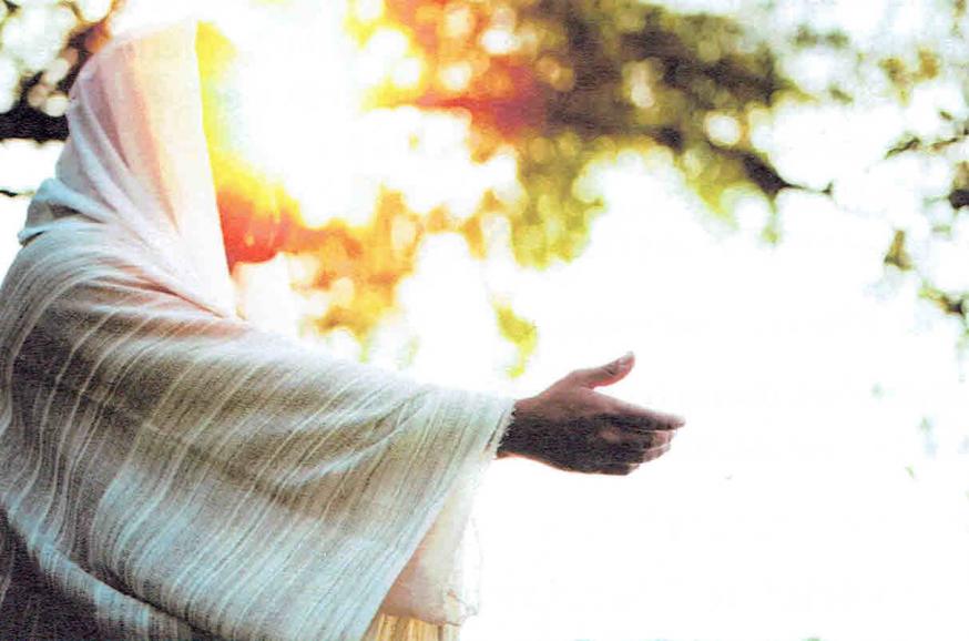 7e Zondag door het Jaar - zondag 23 februari 2025 © Alexander Vandaele