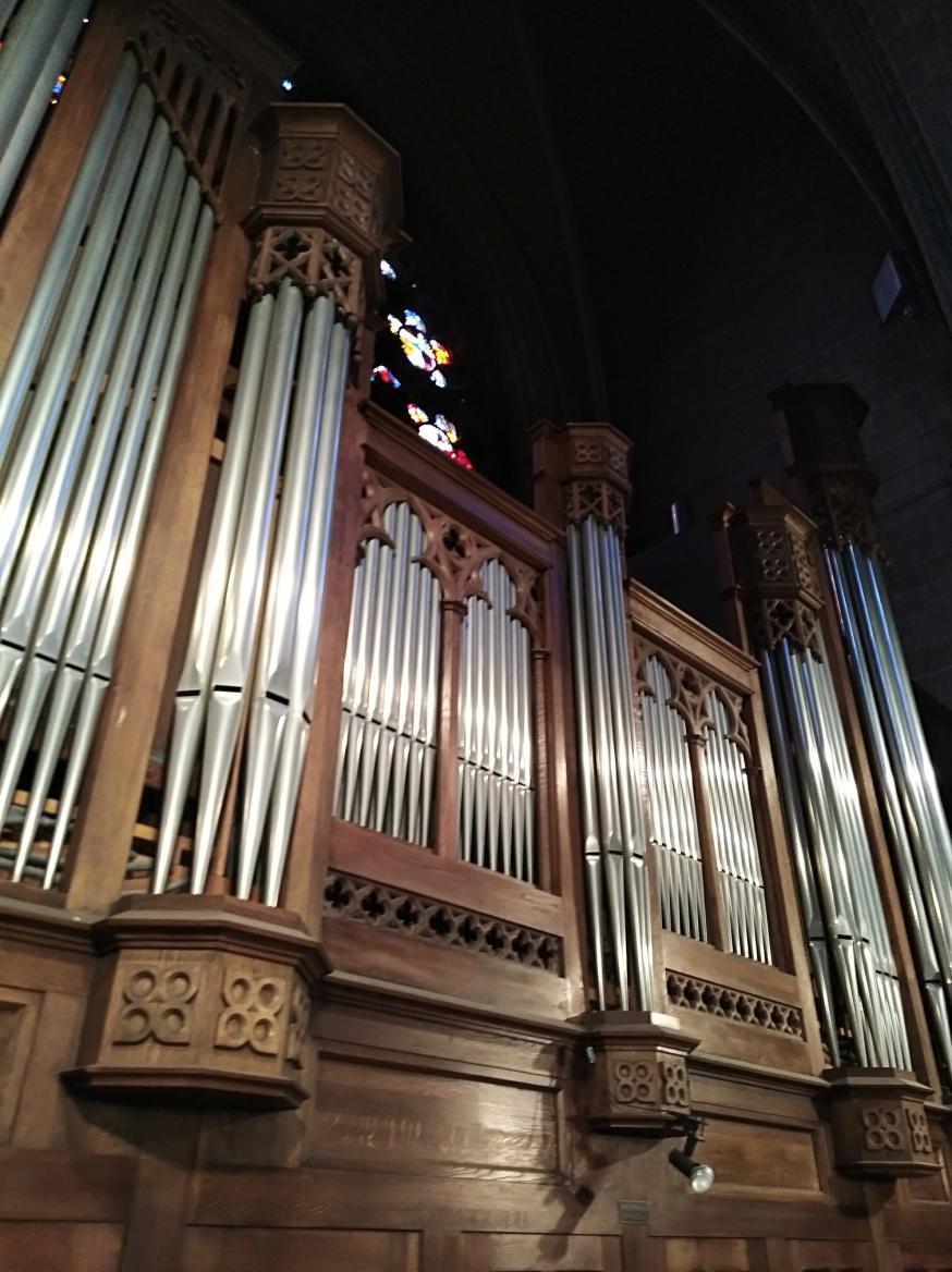 Schyvenorgel 