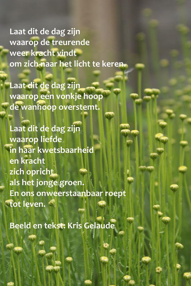 zalig Pasen © Kris Gelaude