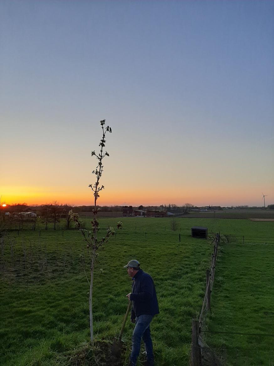 Nog even een boom planten © Kerk in Zwevegem / Communicatie / K&L Dag uit