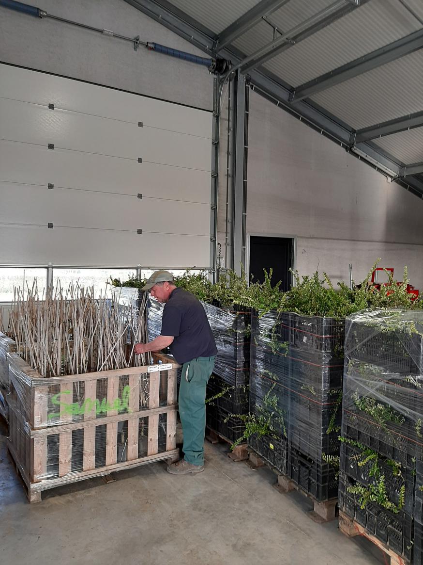 De bestelling wordt grondig gecontroleerd © Kerk in Zwevegem / Communicatie / K&L Dag uit