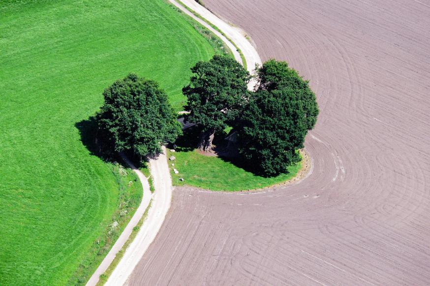 Luchtfoto van de Kroezeboom in Fleringen. © WikiCommons