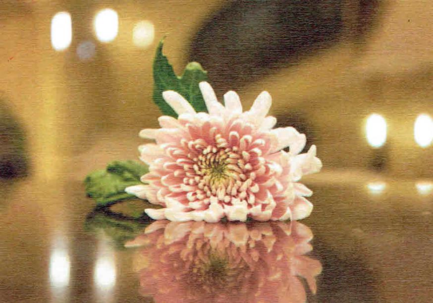 Allerzielen - 2 november 2025 - Sint-Corneliusparochie Ninove © Alexander Vandaele